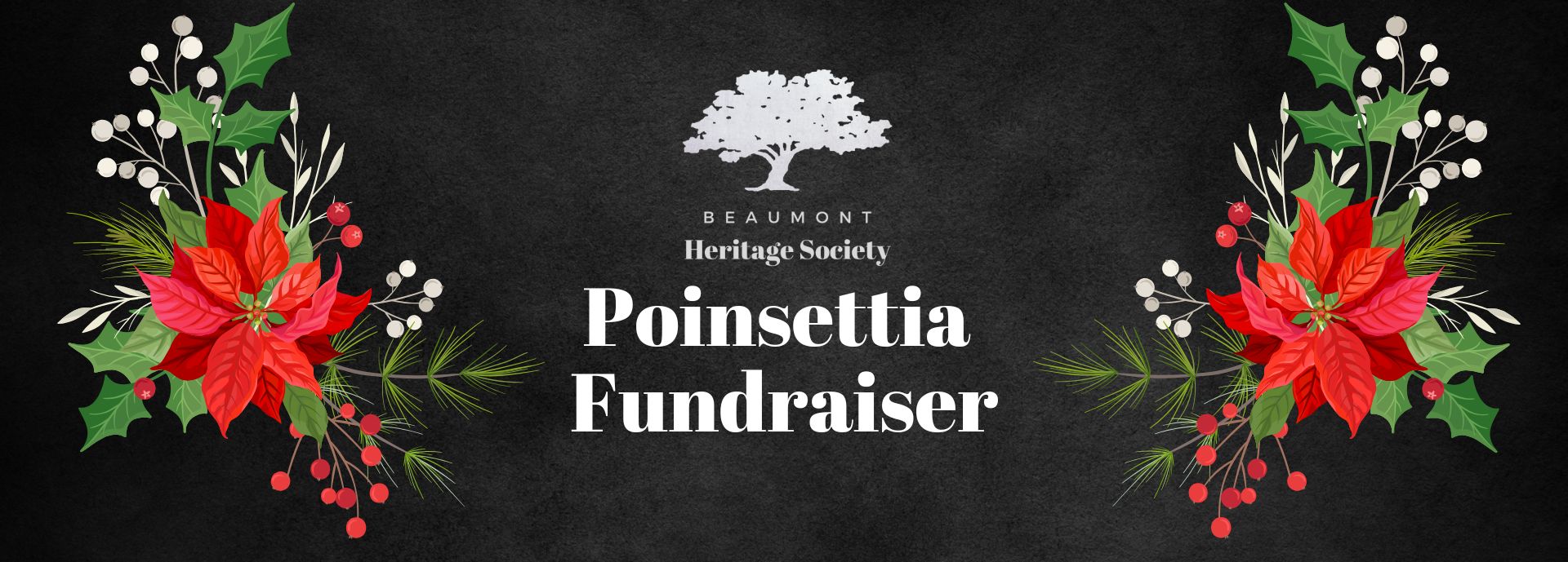 Poinsettia Fundraiser